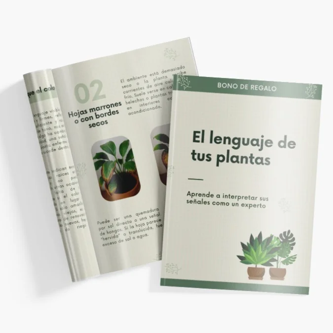 Regalo 1: El lenguaje de las plantas