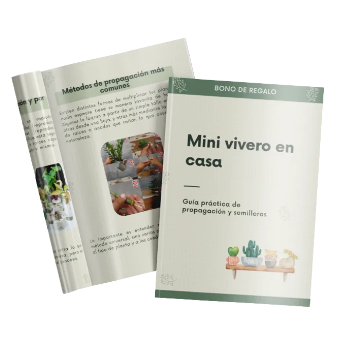 Regalo 3: Mini vivero en casa