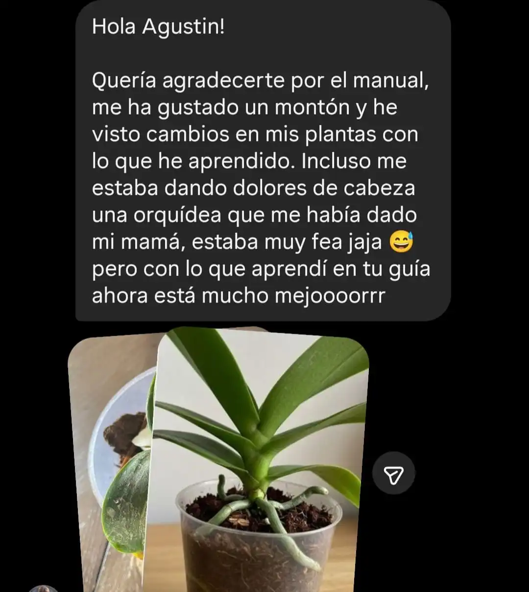 Testimonio de alumno con foto de su planta recuperada