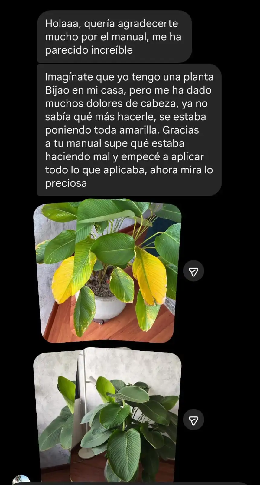Testimonio de alumna con foto de su planta antes y después