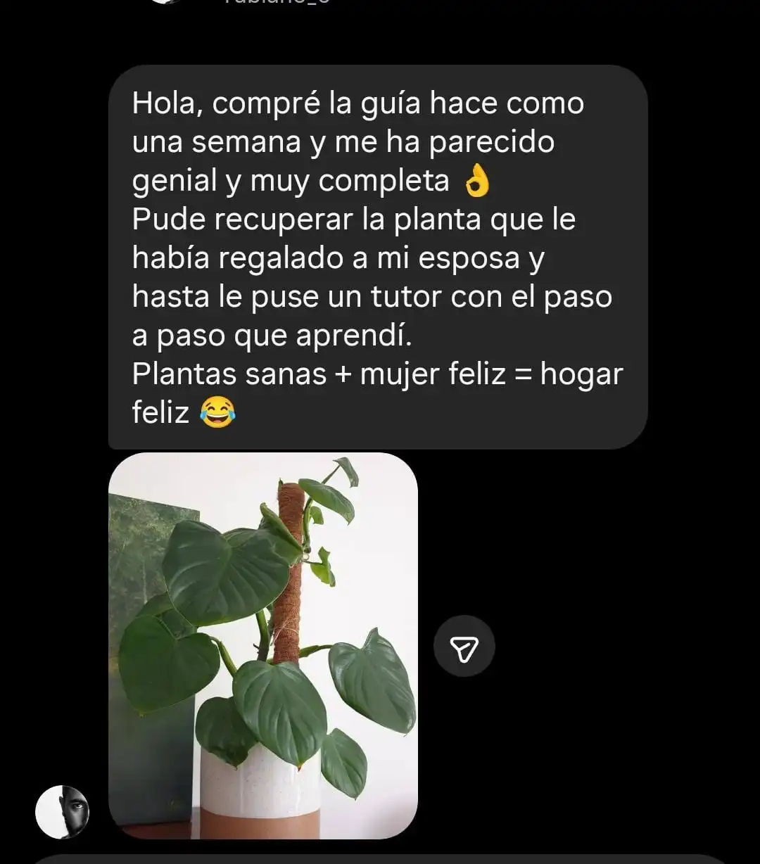Testimonio de alumno con foto de su planta