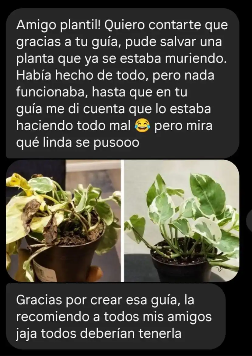 Testimonio de alumno con foto de su planta recuperada
